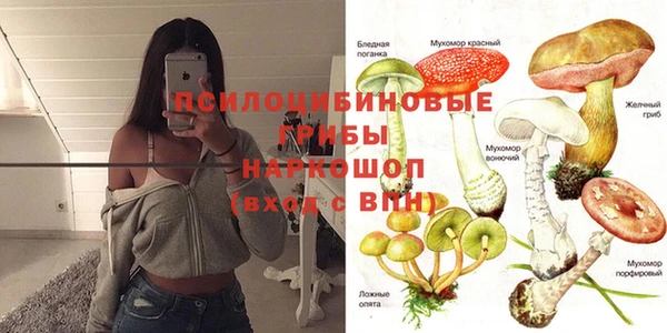 трава Дмитриев