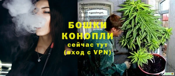 apvp Дмитров