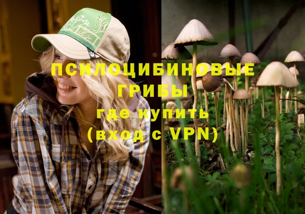 apvp Дмитров
