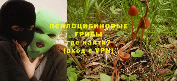 apvp Дмитров